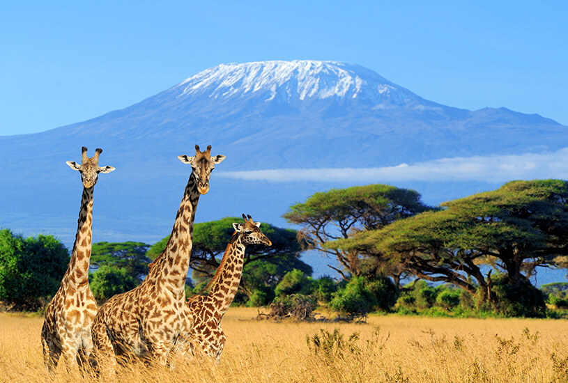 Mount Kilimanjaro, Kenya and Tanzania